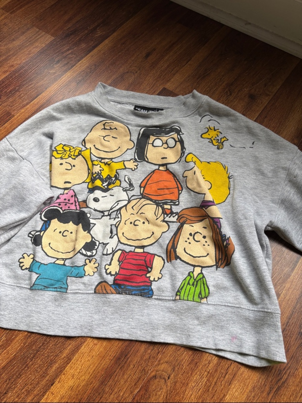 Peanuts Kids Grey Sweatshirt with Colorful Character Graphic